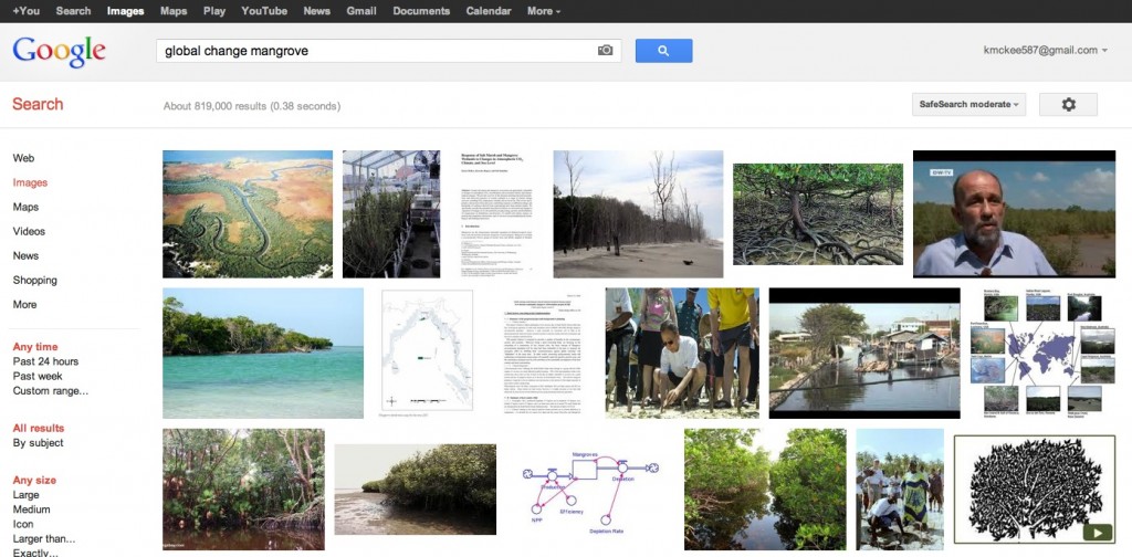 example of a google search for images about mangroves and global change