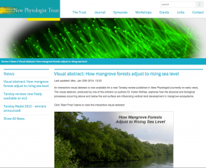 mangrove_newphytologist_prezi